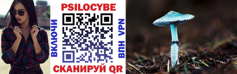 Галлюциногенные грибы GOLDEN TEACHER  Купить  Новая Усмань 